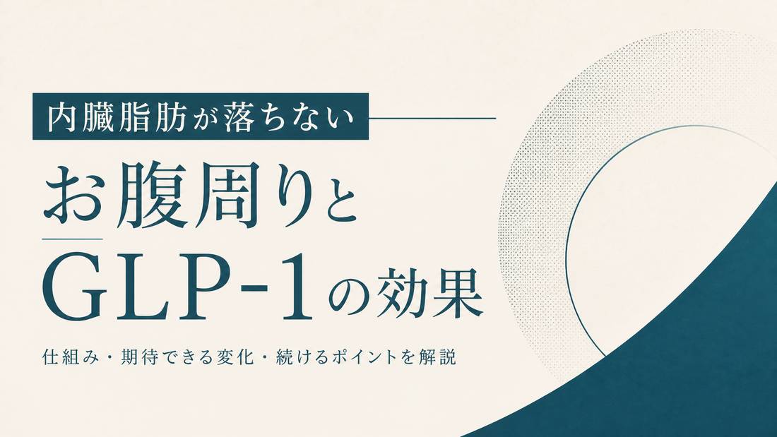 内臓脂肪が落ちない｜お腹周りとGLP-1の効果