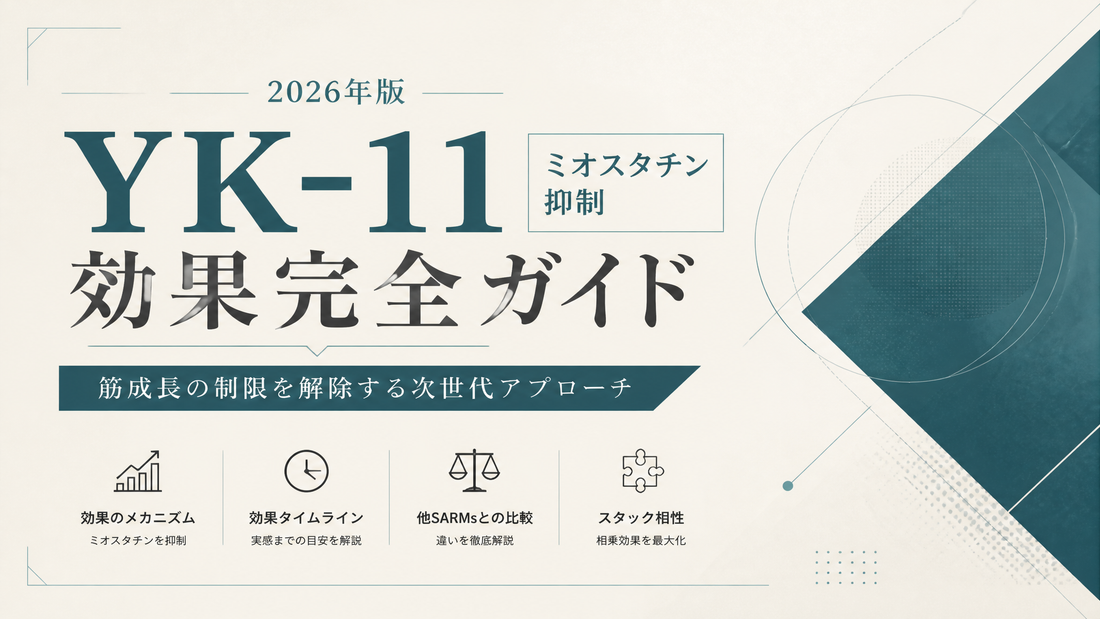 YK-11(ミオスタチン抑制)効果完全ガイド｜筋成長制限解除・タイムライン・他SARMsとの差・スタック相性【2026年版】