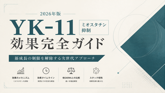 YK-11(ミオスタチン抑制)効果完全ガイド｜筋成長制限解除・タイムライン・他SARMsとの差・スタック相性【2026年版】