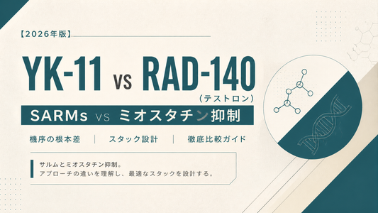 YK-11 vs RAD-140(テストロン)｜SARMs vs ミオスタチン抑制・機序の根本差・スタック設計【2026年版】